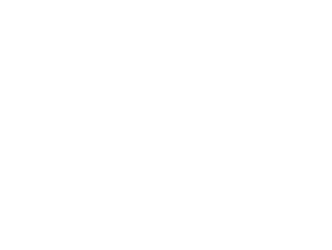 vescon-logo