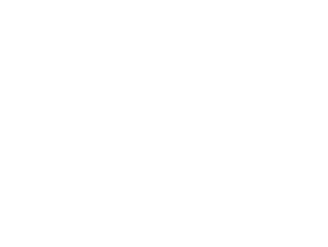 sanchez_logo_referenz_stemmerpx